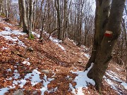 50 Proseguendo in discesa la neve scompare